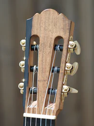 Guitare classique 53 : noyer et cèdre - Photo #5